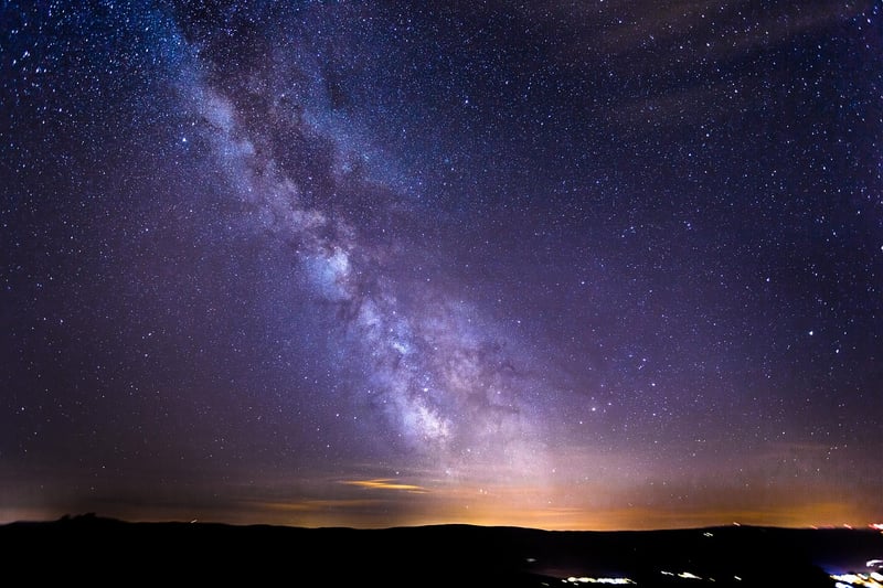 Safari Night Sky